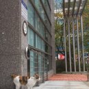 중2동 주민센터 이미지