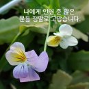 꽃샘추위 이미지