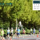 제593회 꼴찌완주자 마라톤훈련(경남마라톤대회)10/15 이미지