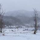 산들 태양광발전소 이미지