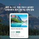 호수피드 Daum카페