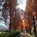 시민공원 남문 인근-1 이미지