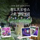 대조-012 | 청도 프로방스, 빛과 낭만이 가득한 경북 여행지