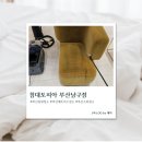 [부산] 부산소파청소 침대토피아 부산남구점 솔직후기