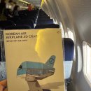 2126 | 제주나리타직항 대한항공 귀국편 KE2126 기내식 키즈밀 후지산뷰 좌석 꿀팁