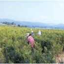 제형농장 이미지