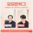 모모헤어솔루션