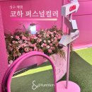 단기특강  나만의 퍼스널컬러 진단 | [성수]::코하(코덕 하우스) 퍼스널 컬러 체험 솔직후기