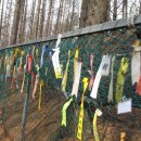 진부령 가는길 이미지