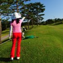 초원스크린골프비젼 이미지