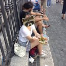 무비스모텔 | [스페인 5박8일/패키지] #0. 여행 전 준비 │ 패키지가격, 여행경로, 준비물, 스페인 유심 비교