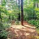 금남면사무소 이미지