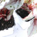 범수농장 이미지