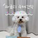 와글리 | 강아지 수제간식 추천 | 와글리 기본/알러지 2종 솔직 후기 (휴먼그레이드·무첨가)