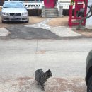 금강로유연들1길154 이미지