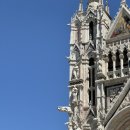 철철닷컴 | 이탈리아 시에나 대성당 캄포 광장 여행기🇮🇹 중세 감성 한가득