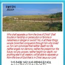 오늘의 양식