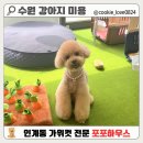 행복 하우스 | [수원 인계동 애견미용] 강아지가 행복하게 변신하는 포포하우스 후기 🐶✂️