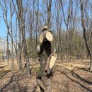 조원공원 이미지