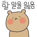 1988바이크스팀세차 이미지