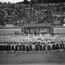 아리랑별관 이미지