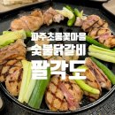 숯칼도산숯닭갈비 | [파주운정맛집] 운정 호수공원 맛집 초롱꽃마을 숯불닭갈비 맛집 팔각도