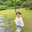 배나무실의 아침 이미지