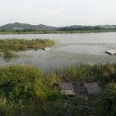 충남 보령시 웅천읍 소황리.노천리 부사호(수로)/잔디보 이미지