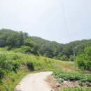 (계약완료)충북 계획관리 대지350평 2채 전원부지 매가1억1천 농지자격증 × 이미지