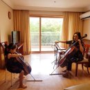 마포스즈키음악학원 이미지