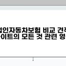 법인자동차보험 비교 견적 사이트의 모든 것