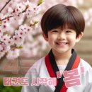 YTA태권도 이미지