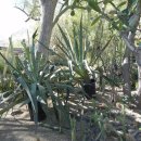 (주)정원팜 이미지