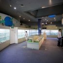 갯지렁이 전시관 이미지