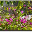 나마스떼 이미지