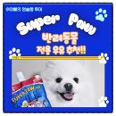 반려동물 전용 우유 : Super Paw 급여 후기