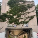 카페음 | 잠실한강공원 물놀이장 수영장 야간개장 후기