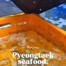 감포참가자미식당 이미지