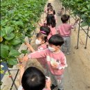 모전병설유치원 이미지