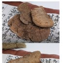 영지메디컬 이미지