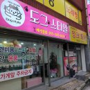 삐삐애견 이미지