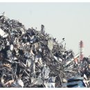 개미환경자원 이미지