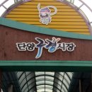 단양읍 도전리 공원