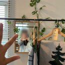 리틀댕댕 | 외동 불국사 근처 데이트하기 좋은 조용한 카페 추천(시골 풍경의 리틀 포레스트st.) 책 읽기 좋은 카페