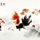 금옥만당 이미지