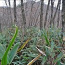 덕풍산장 이미지