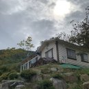 해평농협도개지점 이미지