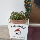 아비오 | 광주 동명동 버터떡 맛집 파는곳 멜크 후기 가격 + 아비오 추가