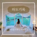 제주웨딩스냅 독채펜션 하도기록 야외 스튜디오 만삭 촬영 후기