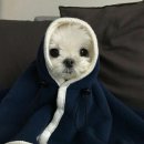 우림시장 이미지